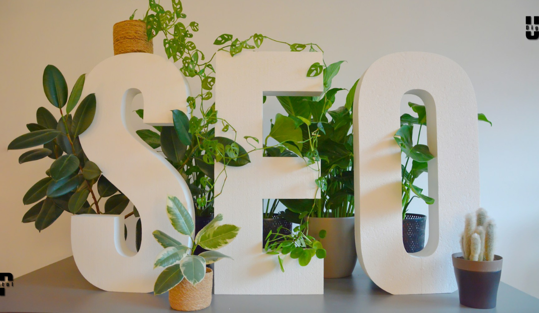 SEO optimizacija sajta koji donosi rezultate!